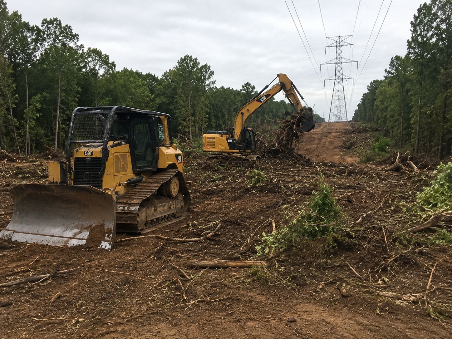 Cleared lot with brush and tree removal in progress